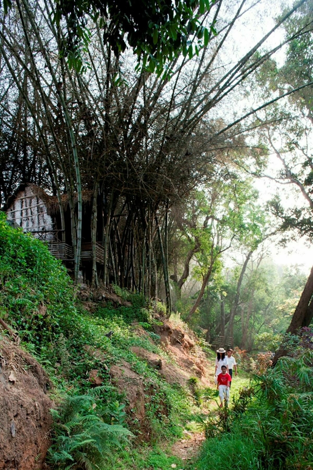 Amanvana Spa Resort, Coorg Kushālnagar Exterior foto